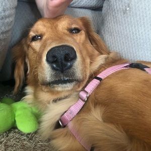 Meet your Posher, Kait